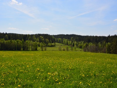 Příroda