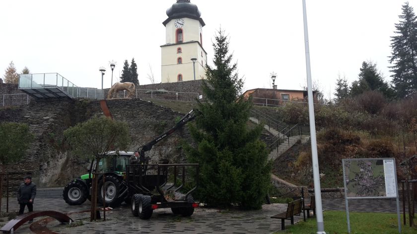 Vánoční strom na Masarykově náměstí