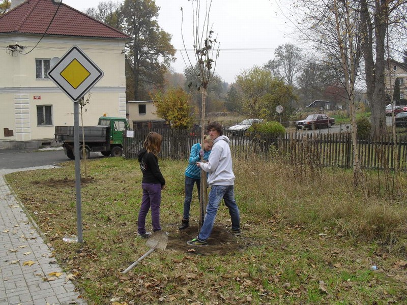 alej