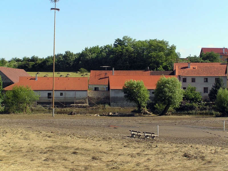 povovdně